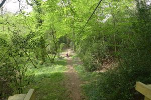 Zipwire- click for photo gallery